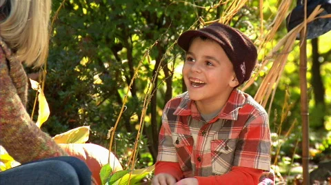 Carving Pumpkins 365 Stock Footage 559216