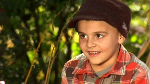 Carving Pumpkins 366 Stock Footage 559229