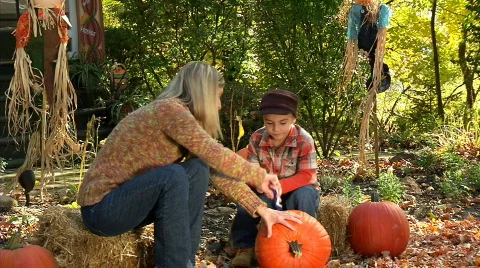Carving Pumpkins 367 Stock Footage 559251
