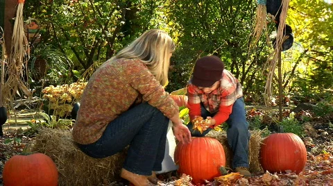 Carving Pumpkins 370 Video stock 559408