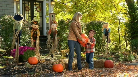 Carving Pumpkins 371 Stock Footage 559417
