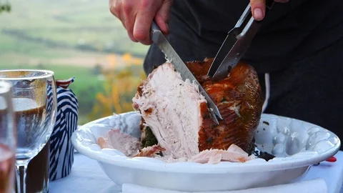 Carving Turkey Slow Motion Stock Footage 105695006
