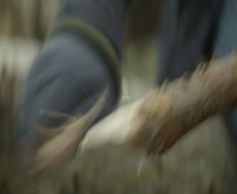 CARVING WOOD SPEAR USING POCKET KNIFE 02 Stock Footage 87223923