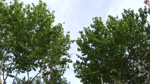 Casa Batllo front facade Video stock 140759