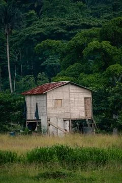 Casa de bosque Foto stock