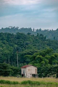 Casa de bosque Foto stock