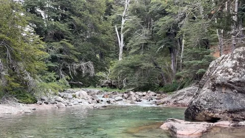 Casa de Piedra clear river flowing through forest Stock Footage 310619733