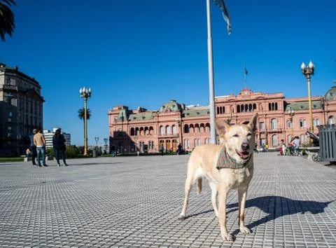 Casa Rosada Stock Photos
