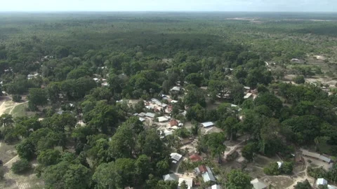Casamance re?duction Stock Footage 288570499
