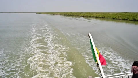 Casamance River View Stock Footage 225269371