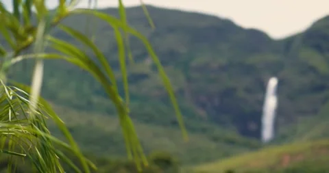 Casca d'Anta - Serra da Canastra National Park	 Stock Footage 162769669