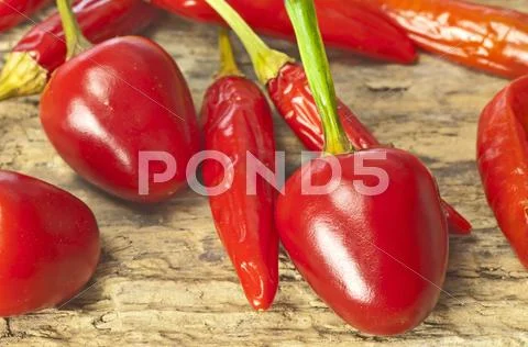 Cascabel and cayenne chili Stock Photos