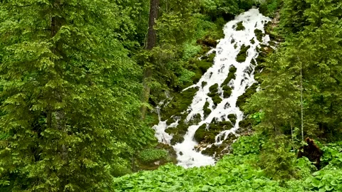 Cascada 7 izvoare , seven spring waterfall in the mountains of Romania Stock Footage 141477142