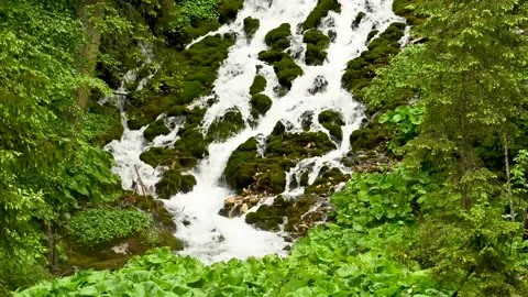 Cascada 7 izvoare , seven spring waterfall in the mountains of Romania Stock Footage 141477146