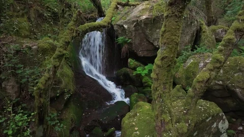 Cascada de Santo Estevo do Ermo Waterfall 库存影片 336795688