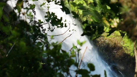 Cascada en el bosque en México Stock Footage 94839699