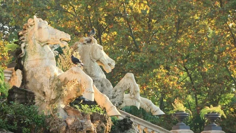 The Cascada Monumental in the Parc de la Ciutadella in Barcelona, Spain Stock Footage 118980477