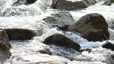 Cascade on an alpine river in austria 스톡 동영상 126895977