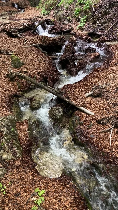 Cascade and Small and slow mountain stream, creek, brook and river Video stock 311481016