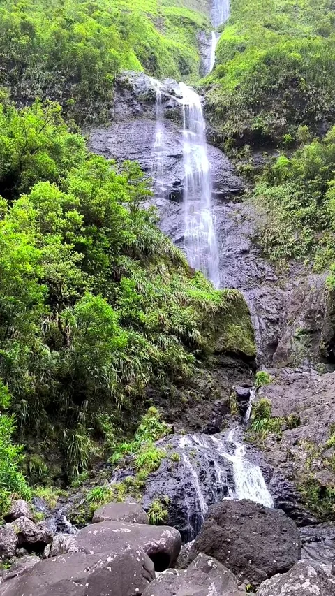 Cascade blanche, impressive waterfall in la Reunion island in Salazie, Stock Footage 330253656