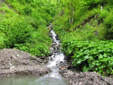 A cascade of boulders on the path of a fast mountain stream in the gorge of t Stock Photos