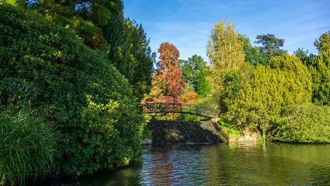 The Cascade Bridge, Lower Woman's Way Pond, Sheffield Park Gardens, Sussex Stock Footage 102942572