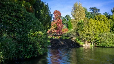 The Cascade Bridge, Lower Woman's Way Pond, Sheffield Park Gardens, Sussex Stock Footage 105239509