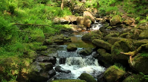 Cascade on Burbage Brook in Padley Gorge, Peak District, England. Steady shot 4K Vídeos de archivo 64407475