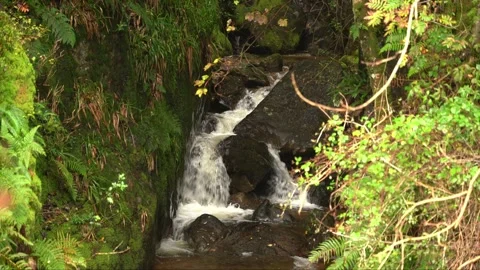 Cascade in deep ravine, Lake District Na... | Stock Video | Pond5