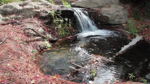 Cascade in East Texas Stock Footage 138780078