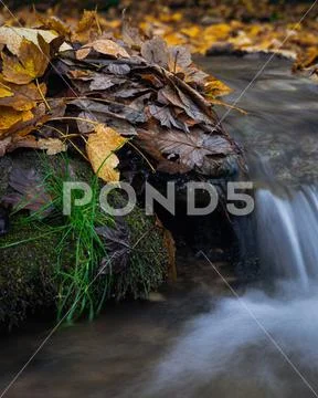 Cascade with fall leaves Stock Photos