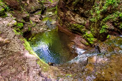 Cascade falls in forest Stock Photos