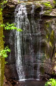 Cascade falls in forest Stock Photos
