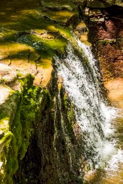 Cascade falls in forest Stock Photos