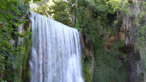 Cascade falls hard in the lush vegetation Stock Footage 40118032