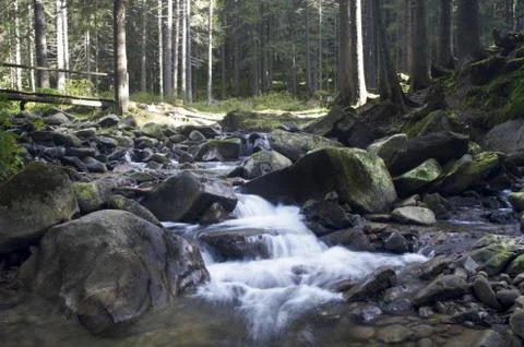 Cascade falls over mossy rocks Stock Photos