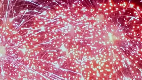 Cascade of firework showers light up the night sky Stock Footage 313781658