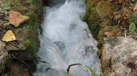 Cascade Video stock 8681176