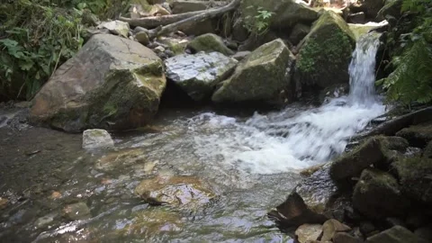 Cascade Stock Footage 138719752