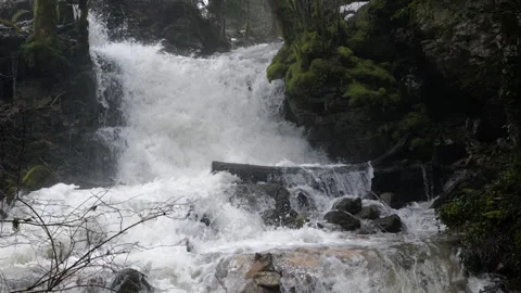 Cascade Stock Footage 168012488
