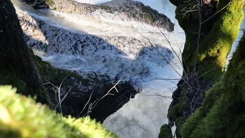 Cascade Stock Footage 168013614