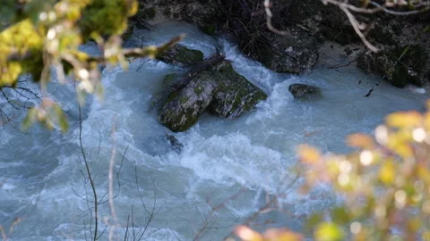 Cascade Video stock 168014131
