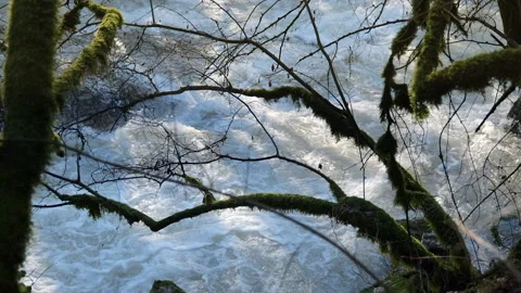 Cascade Stock Footage 168014526