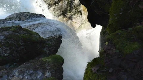 Cascade 動画素材 168015019