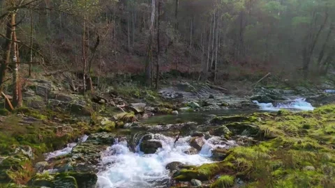 Cascade Stock Footage 319244749