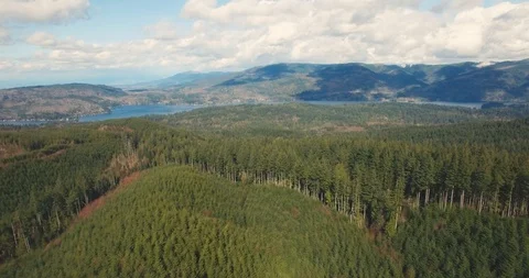 Cascade Foothills and Lake Whatcom - Aerial View Stock Footage 88022450