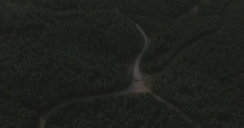 Cascade Foothills - Galbraith Mountain - Bellingham Washington Stock Footage 88020175