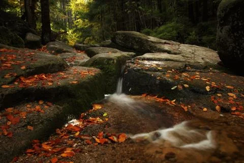 Cascade in the forest with big stone in foreground. Stock Photos