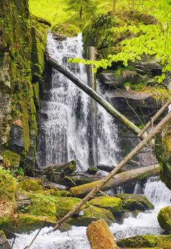 Cascade on the forest creek Stock Photos