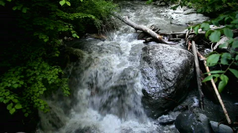 Cascade in a forest Stock Footage 821793